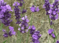 Janet – Interview 04