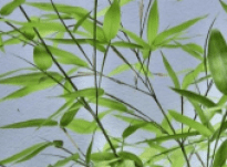 James – Interview 16