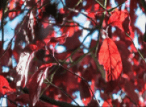 William – Interview 03