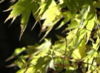 John – Interview 22