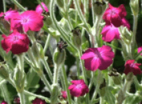 Saskia – Interview 30