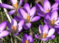 Pauline – Interview 24