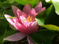 Anne – Interview 17