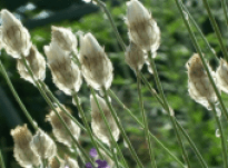 Sandra – Interview 19