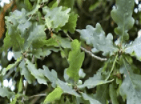 Michael and Ann – Interview 10