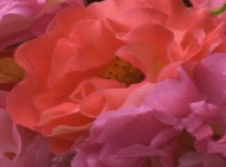 Catherine – Interview 04