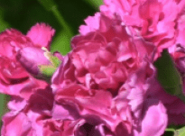 Sandra – Interview 21