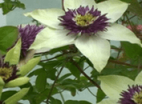 Sandra – Interview 11