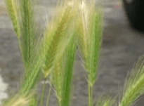 Judy – Interview 04