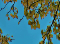 Mick – Interview 17