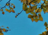 Clara – Interview 01