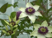 Louise – Interview 21